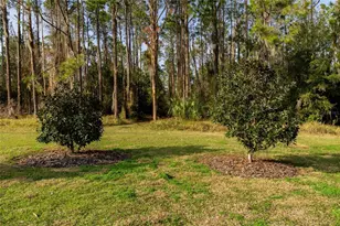 11148 Lane Park Rd, Tavares, FL 32778 - Photo 56