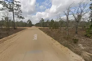 1137 Twin Lakes Blvd, Interlachen, FL 32148 - Photo 1