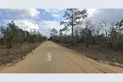 1137 Twin Lakes Boulevard, Interlachen, FL 32148 - Photo 4