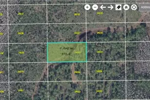 Dill Road Rd, Orlando, FL 32820 - Photo 1