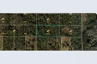 E Colonial Drive, Orlando, FL 32820 - Photo 2