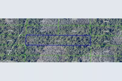 Dill Road, Orlando, FL 32820 - Photo 2