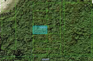 Commonwealth Ave N, Polk City, FL 33868 - Photo 1