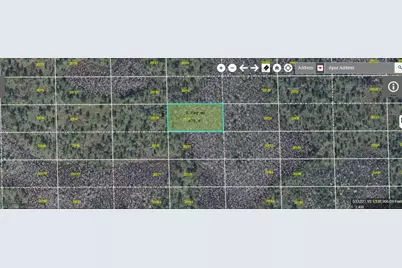 Dill Road, Orlando, FL 32820 - Photo 1