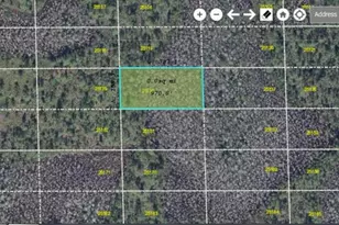 Dill Rd, Orlando, FL 32820 - Photo 1