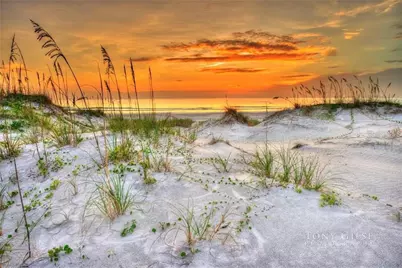 295 E Ariel Road, Oak Hill, FL 32759 - Photo 42