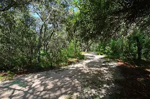8511 La Isla Dr, Kissimmee, FL 34747 - Photo 74