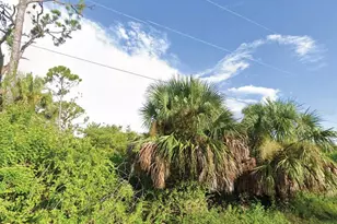 23 Bamboo Dr, Port Charlotte, FL 33954 - Photo 1