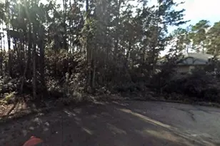 20 Lleberry Path, Palm Coast, FL 32164 - Photo 1