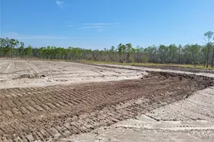 1001 Omega Ranch Rd, New Smyrna Beach, FL 32168 - Photo 1