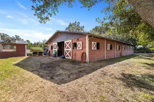 4230 Rex Dr, Winter Garden, FL 34787 - Photo 36