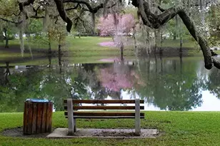 3118 Clemwood St, Orlando, FL 32803 - Photo 34