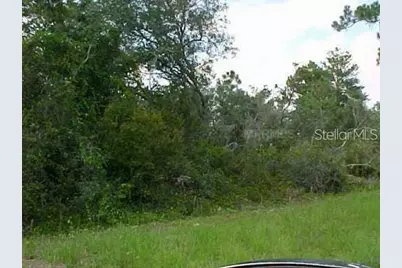 528 Parakeet Avenue, Sebring, FL 33872 - Photo 2