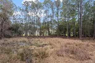 Sanctuary Ave, Debary, FL 32713 - Photo 1