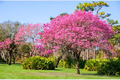 11043 Cromwell Road, Orlando, FL 32827 - Photo 2