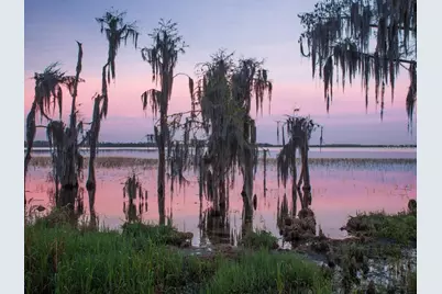 11043 Cromwell Road, Orlando, FL 32827 - Photo 8