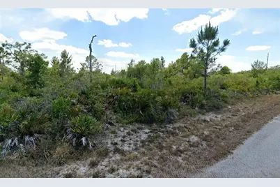 3546 Rhododendron Road, Lake Placid, FL 33852 - Photo 1