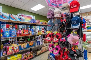 3071 Beach Palm Ave, Kissimmee, FL 34747 - Photo 32