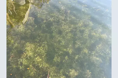 2500 Lee Road #202, Winter Park, FL 32789 - Photo 20