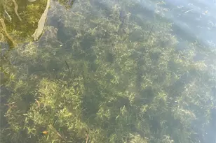 2500 Lee Rd, Winter Park, FL 32789 - Photo 20