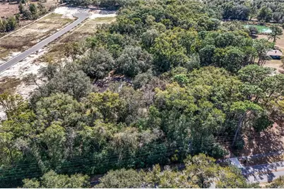 344 W Ponkan Road, Apopka, FL 32712 - Photo 10