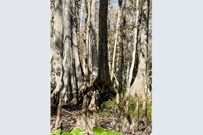 10285 NE 28th Loop, Silver Springs, FL 34488 - Photo 80