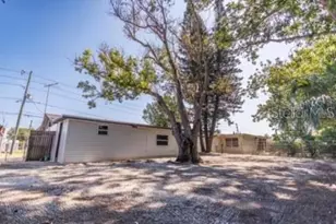 3818 Moog Rd, Holiday, FL 34691 - Photo 12