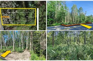 Vacant Land Sr-33, Clermont, FL 34714 - Photo 1
