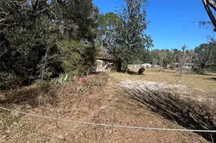 20545 SE 155th Pl, Umatilla, FL 32784 - Photo 16