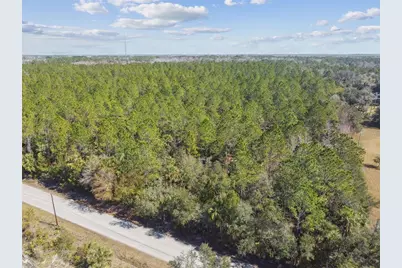000 Old Haw Creek Road, Bunnell, FL 32110 - Photo 16