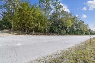 000 Old Haw Creek Road, Bunnell, FL 32110 - Photo 22
