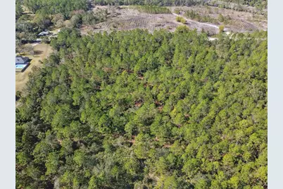 000 Old Haw Creek Road, Bunnell, FL 32110 - Photo 12