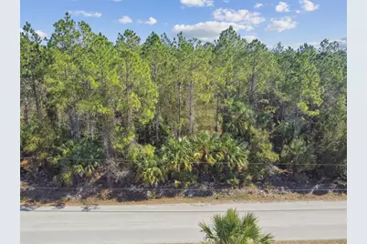 000 Old Haw Creek Road, Bunnell, FL 32110 - Photo 18
