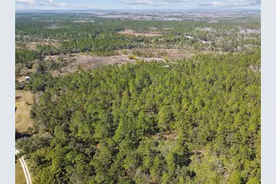 000 Old Haw Creek Road, Bunnell, FL 32110 - Photo 10
