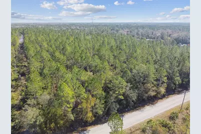 000 Old Haw Creek Road, Bunnell, FL 32110 - Photo 14
