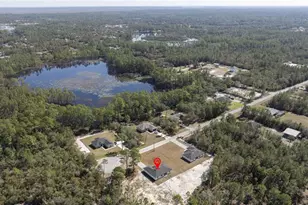 41975 Aspen St, Eustis, FL 32736 - Photo 4