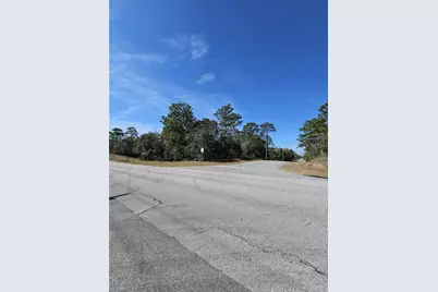 2914 W Naegelia Place, Citrus Springs, FL 34434 - Photo 4