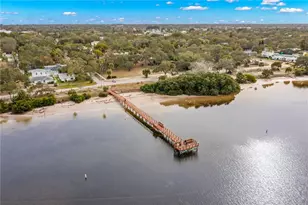 606 Indiana Ave, Crystal Beach, FL 34681 - Photo 44