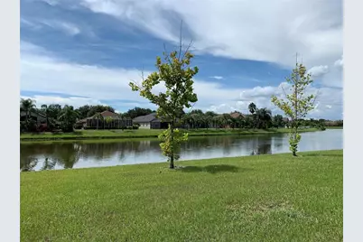 7037 Towering Spruce Drive, Riverview, FL 33578 - Photo 4