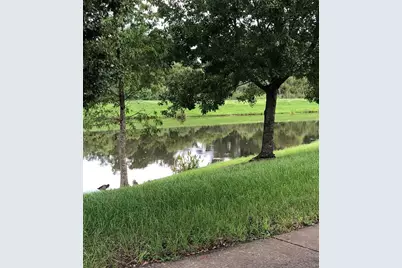 7037 Towering Spruce Drive, Riverview, FL 33578 - Photo 42