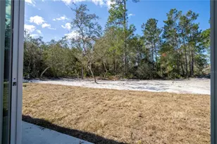 41915 Aspen St, Eustis, FL 32736 - Photo 46