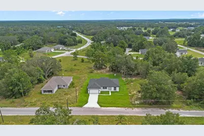 225 Malauka Run N, Ocklawaha, FL 32179 - Photo 36