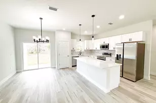 225 Malauka Run N, Ocklawaha, FL 32179 - Photo 6