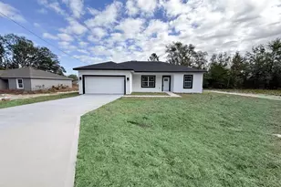 225 Malauka Run N, Ocklawaha, FL 32179 - Photo 1