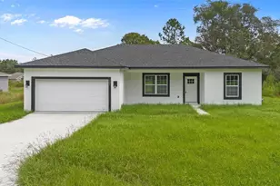 225 Malauka Run N, Ocklawaha, FL 32179 - Photo 1