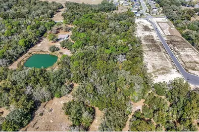 344 W Ponkan Road, Apopka, FL 32712 - Photo 8