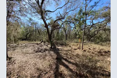 Cr 772B, Webster, FL 33597 - Photo 14