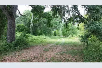 Cr 772B, Webster, FL 33597 - Photo 12