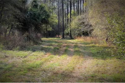Cr 772B, Webster, FL 33597 - Photo 6