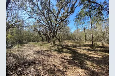 Cr 772B, Webster, FL 33597 - Photo 2